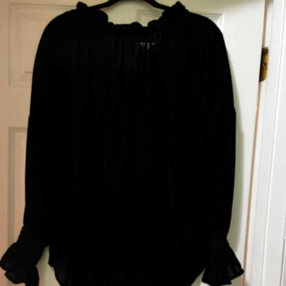 Finley Velvet Ruffle Sleeve Blouse - Picture 4 of 4